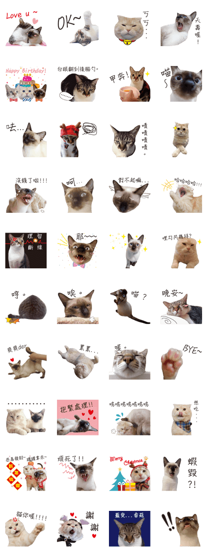 Meow meow meow fluffy paws Meow meow meow fluffy paws