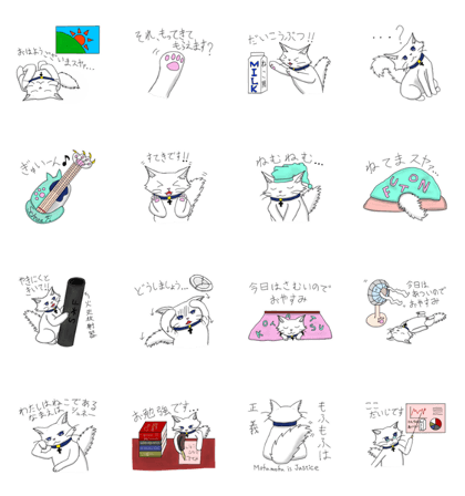 Schnee Flocke the Cat Schnee Flocke the Cat