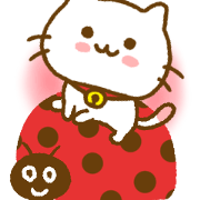 Cat Tama Northern Europe Cat Tama Northern Europe