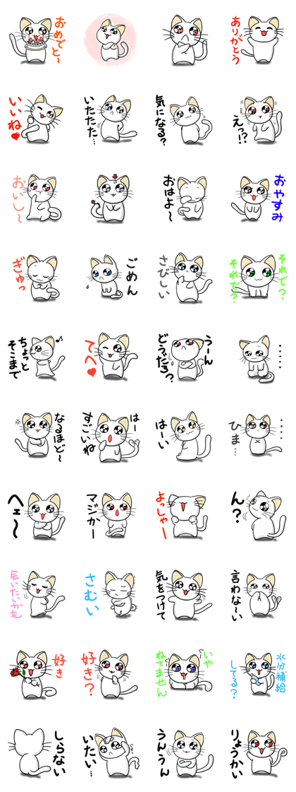 White cat of round eyes White cat of round eyes