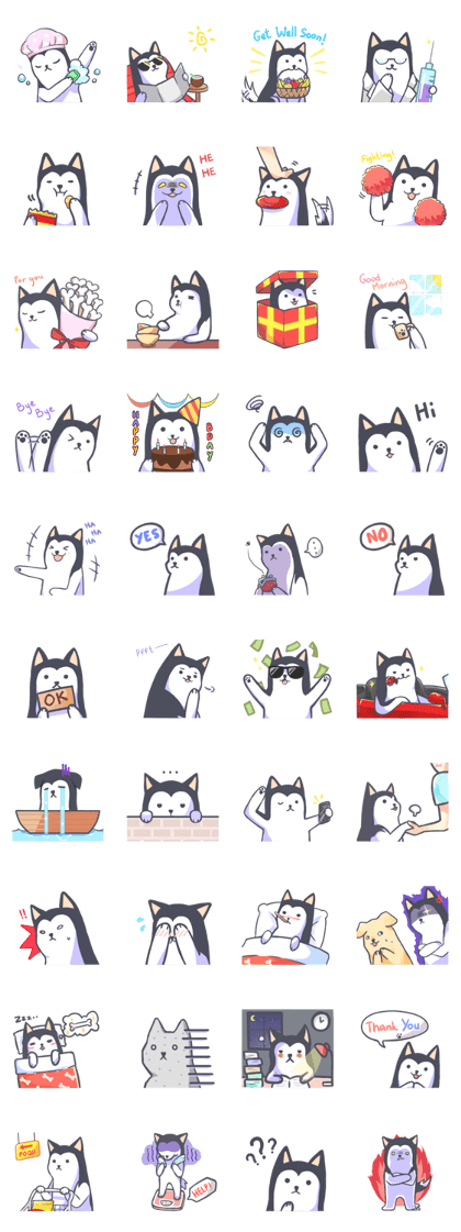 Kino The Siberian Husky Kino The Siberian Husky