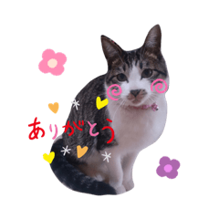 haruna_20201215221515