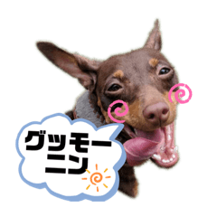 sayuri_20201215215408