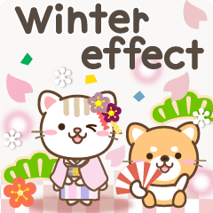 Natural cat, effect_winter english