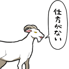 talking goat
