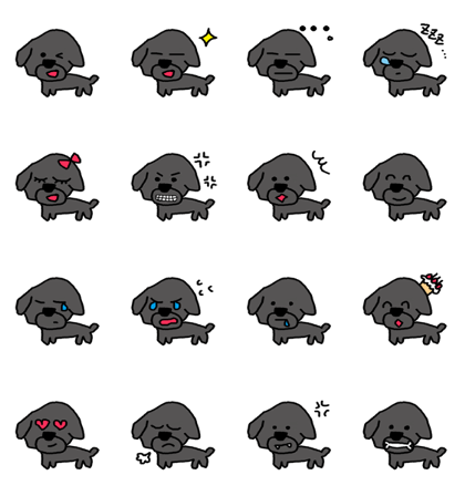 BLACK TOY POODLE JIJI BLACK TOY POODLE JIJI