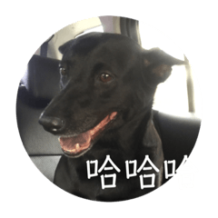 歐嚕嚕跟肥仔的愛情故事