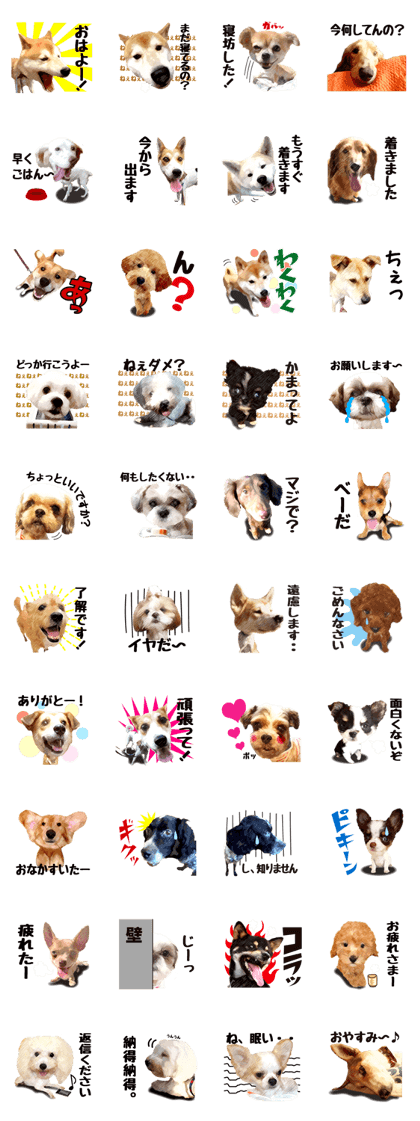 Sticker of a saved dog