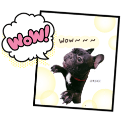 土豆跟小虎日常