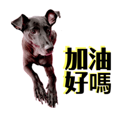 Sally_20201216003203