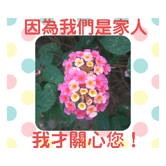 KITTY的文字貼圖：因為我們是家人篇(2)