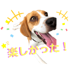 Kazuki_20201216135408