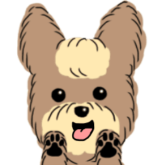 ヨークシャーテリアのラッキーちゃん Line スタンプ Line Store ヨークシャーテリアのラッキーちゃん Line スタンプ Line Store