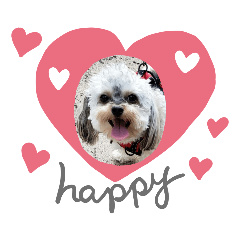 Mochi_20201215145848