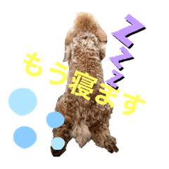 hana_20201216120434