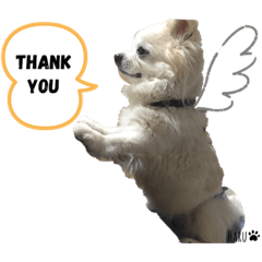 nagisa_20201216172132