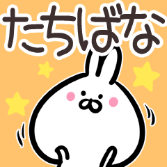 Tachibana Sticker!