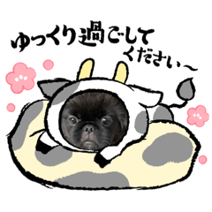 Loco Moco_20201216153432