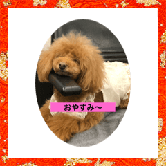 smile_20201216191124