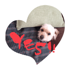 chisa_20201216235121