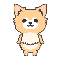 Everyday COCO!