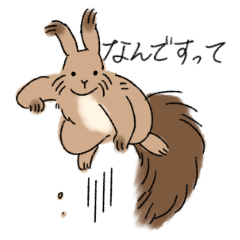 Hokkaido Squirrel sticker