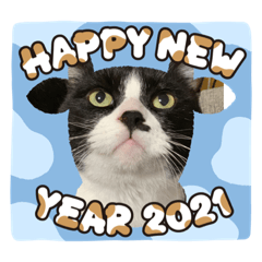 ayumi_20201217134846