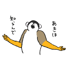 Squirrel monkey's name is Akiho