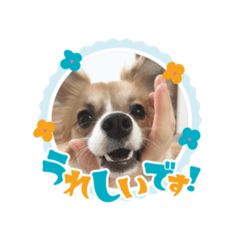 ponzu_20201217150319