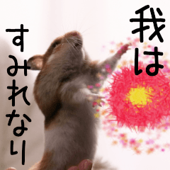 (Fourth edition)Hamster I am Sumire