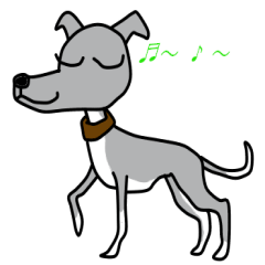 It is an Italian gray hound. It is blue.