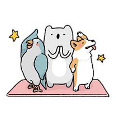 Yoga with Blackbean and friends