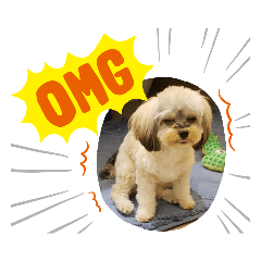 Mochi_20201216125455