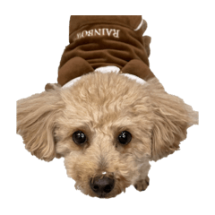 matsu_20201217221426