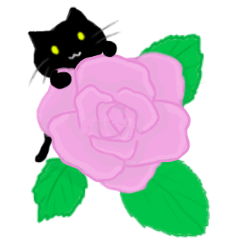 Flower and four cat