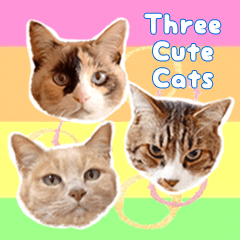 ３匹の猫スタンプ