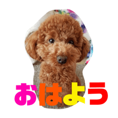 HANA_20201218080527