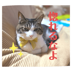 moyu_20201217183350