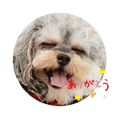 Mochi_20201216213121