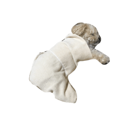 mizuki_20201217230820