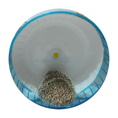 我就愛睡覺不管到哪裡都行