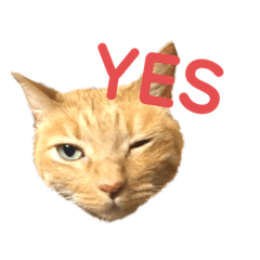 Satoshi_20201217234747