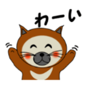 Bear or cat ?