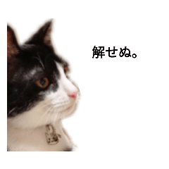 sekiseiinkokoko_20201217182933
