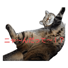 TETSU_20201217205456