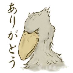 イケメン ハシビロコウ スタンプ Lineクリエイターズスタンプ Stamplist イケメン ハシビロコウ スタンプ Lineクリエイターズスタンプ Stamplist