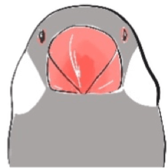 many birds