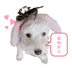 KAIPORT_20201218125357