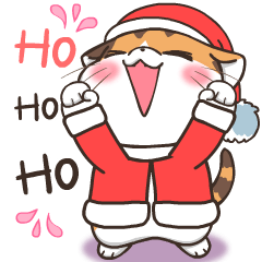 Soidow Christmas Day&Happy New year