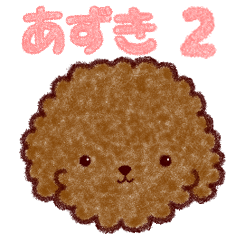 I am Azuki from Toy Poodle.2